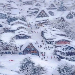 Wonderland in Japan